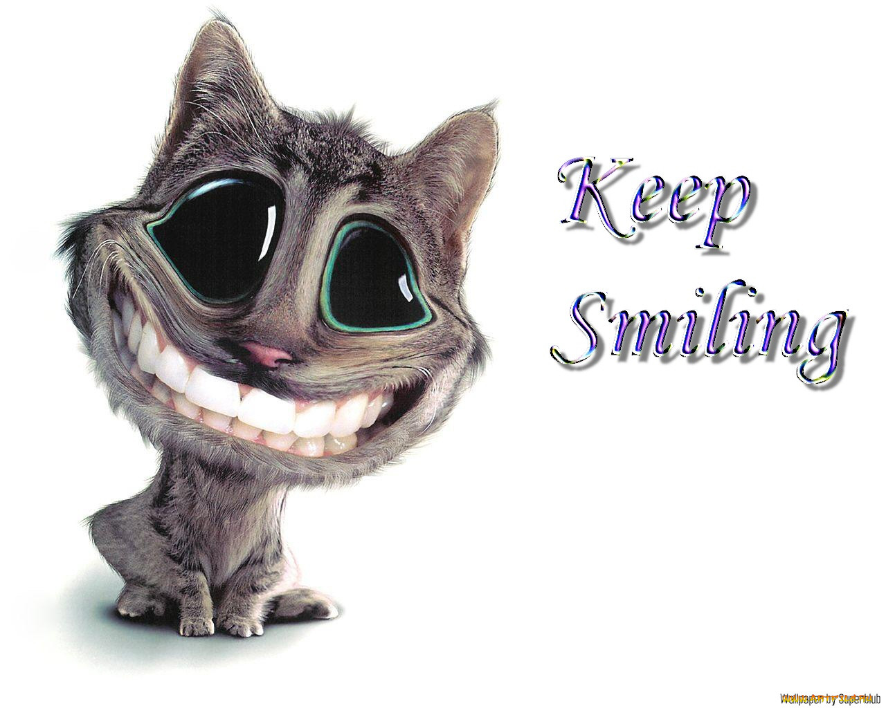 keep, smiling, for, lovely, ladies, , 